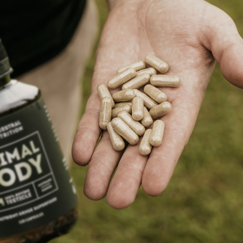 Primal Body - Grass Fed Bovine Testicle Supplement