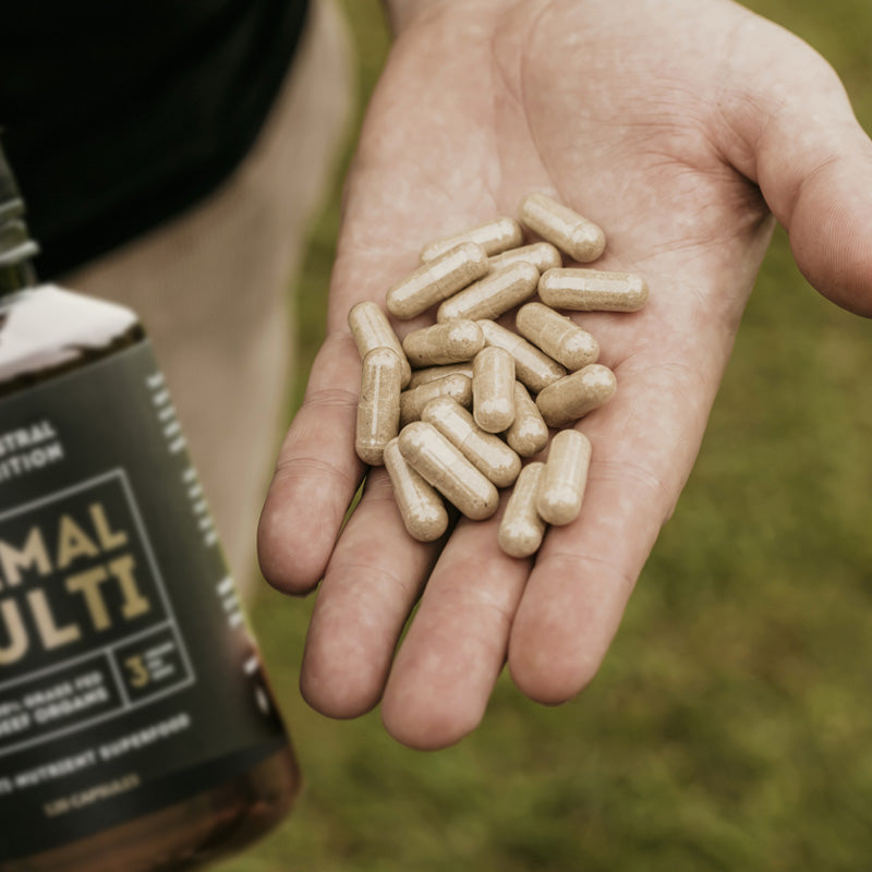 Primal Multi - Grass Fed Beef Organ Supplement
