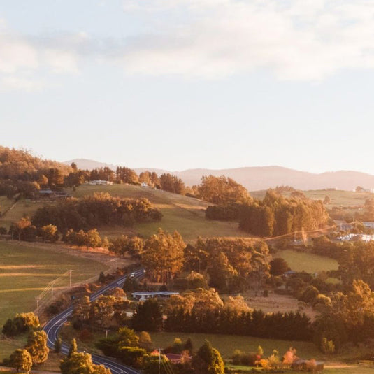 Tasmanian landscape with trees and a road at sunset