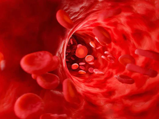 Could This Be The Solution To Low Energy & Anemia?