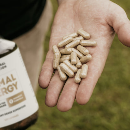 Primal Energy Women - Grass Fed Beef Organ Supplement