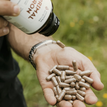 Primal Iron - Grass Fed Beef Spleen Supplement